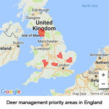 Map showing Deer management priority areas in England